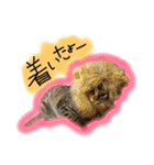 シンクロ（個別スタンプ：21）