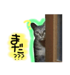シンクロ（個別スタンプ：22）