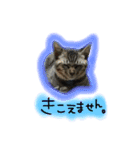 シンクロ（個別スタンプ：29）
