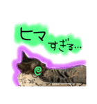シンクロ（個別スタンプ：33）