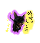 シンクロ（個別スタンプ：34）