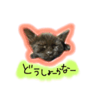シンクロ（個別スタンプ：35）