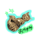 シンクロ（個別スタンプ：37）