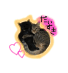 シンクロ（個別スタンプ：39）