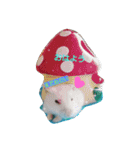 azutan3（個別スタンプ：3）