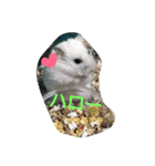 azutan3（個別スタンプ：5）