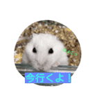 azutan3（個別スタンプ：9）
