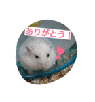 azutan3（個別スタンプ：10）