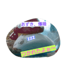 azutan3（個別スタンプ：12）