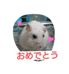 azutan3（個別スタンプ：14）
