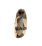Kaisei-610（個別スタンプ：16）