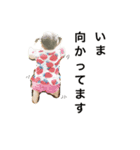 Hazuki LOVE3（個別スタンプ：5）