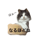 花家の子たち（個別スタンプ：2）