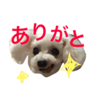 花家の子たち（個別スタンプ：5）