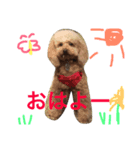 花家の子たち（個別スタンプ：8）