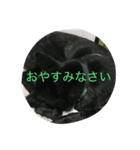 我が家の犬と秋の空（個別スタンプ：4）