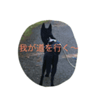 我が家の犬と秋の空（個別スタンプ：6）