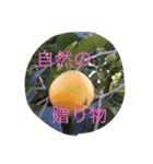 我が家の犬と秋の空（個別スタンプ：9）