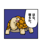 Sometimes Animals（個別スタンプ：8）
