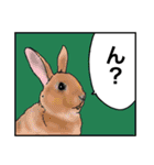 Sometimes Animals（個別スタンプ：14）