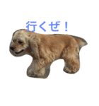 Cocker Spaniels（個別スタンプ：6）