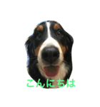 merumari（個別スタンプ：7）