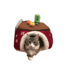 ノルウェージャンのなるたん（個別スタンプ：3）
