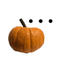 実写かぼちゃハロウィンスタンプ（個別スタンプ：10）