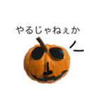 実写かぼちゃハロウィンスタンプ（個別スタンプ：19）