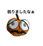 実写かぼちゃハロウィンスタンプ（個別スタンプ：24）