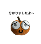 実写かぼちゃハロウィンスタンプ（個別スタンプ：25）