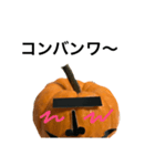 実写かぼちゃハロウィンスタンプ（個別スタンプ：39）