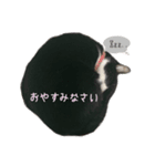 うめさんのご挨拶。（個別スタンプ：5）