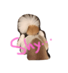 犬のPちゃん（個別スタンプ：1）