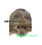ふぬーぴー0815（個別スタンプ：4）