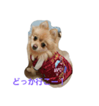 ふぬーぴー0815（個別スタンプ：5）