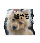 ふぬーぴー0815（個別スタンプ：10）