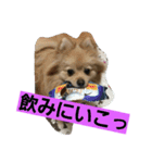 ふぬーぴー0815（個別スタンプ：12）