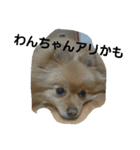 ふぬーぴー0815（個別スタンプ：19）