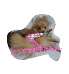ふぬーぴー0815（個別スタンプ：20）