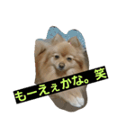 ふぬーぴー0815（個別スタンプ：22）