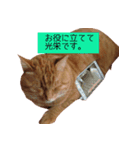 cocotan2017（個別スタンプ：2）
