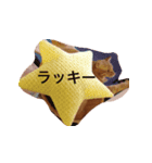 cocotan2017（個別スタンプ：4）