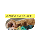 cocotan2017（個別スタンプ：6）