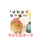 うさぎのくーちゃんスタンプ（個別スタンプ：9）