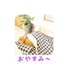 うさぎのくーちゃんスタンプ（個別スタンプ：23）