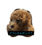 胸キュンぷーすけ（個別スタンプ：1）
