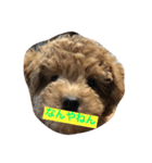 胸キュンぷーすけ（個別スタンプ：5）