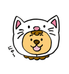 毎日使えるライオンくんスタンプ（個別スタンプ：27）