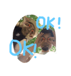 みーーーーーわ（個別スタンプ：1）